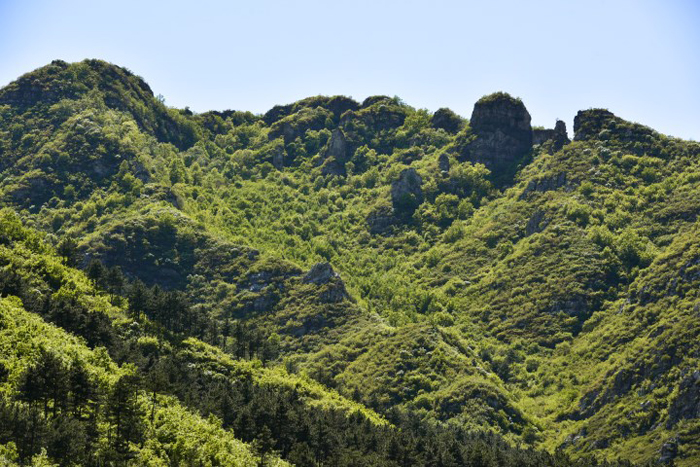 卧虎岭景区1.JPG