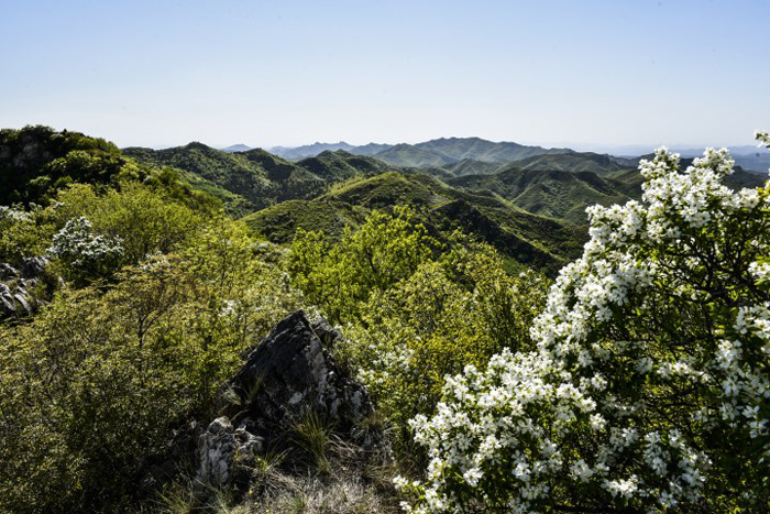 卧虎岭景区2.JPG